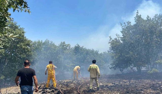 Seyitgazi’de orman yangınına ekiplerin müdahalesi başladı