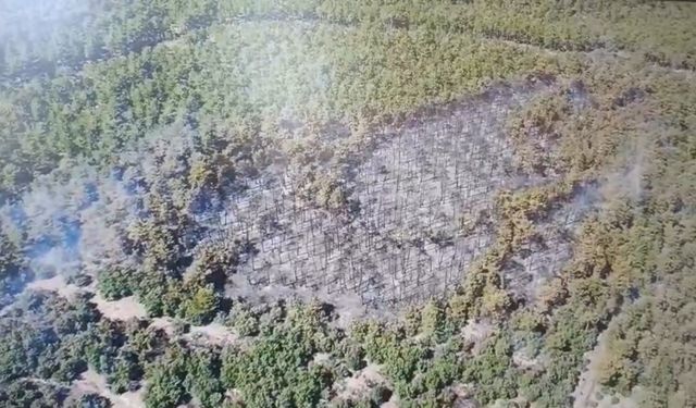 Seyitgazi’de yangının oluşturduğu tahribat havadan görüntülendi