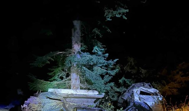 Artvin’de kamyon uçuruma yuvarlandı, karı koca hayatını kaybetti