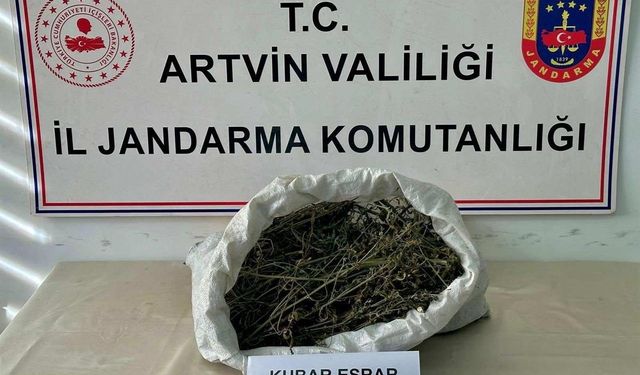 Artvin’de uyuşturucu operasyonu