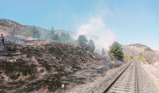 Çankırı’da çıkan ot yangını büyümeden söndürüldü