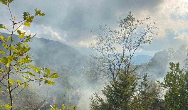 Türkeli’de otluk alanda çıkan yangın söndürüldü
