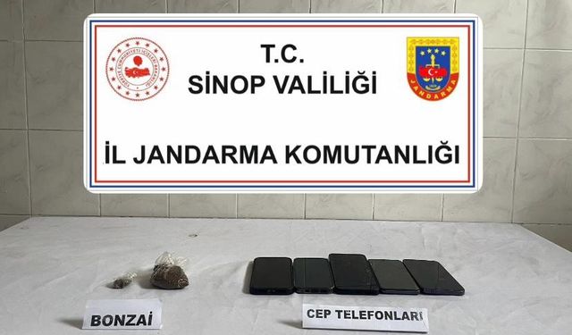 Sinop’ta bonzai ele geçirildi: 1 kişi tutuklandı