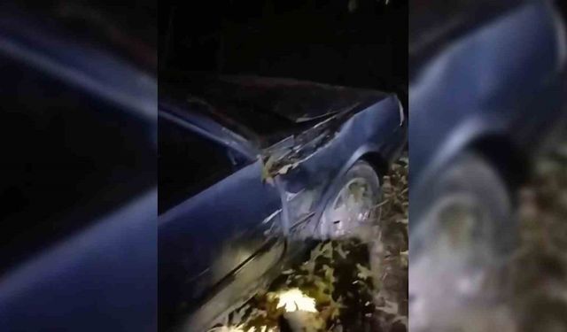 Sinop’ta otomobil şarampole yuvarlandı: 3 yaralı