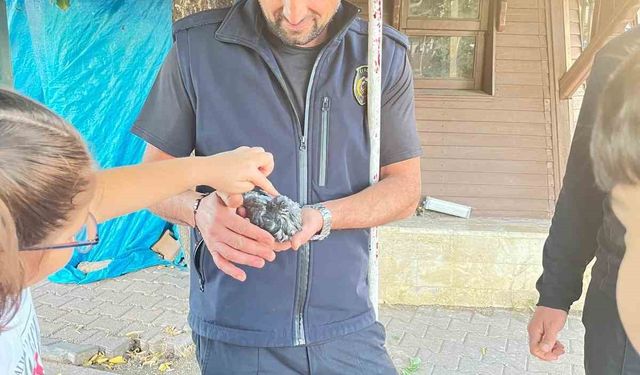 Sivas’ta boruya sıkışan kuşu itfaiye kurtardı