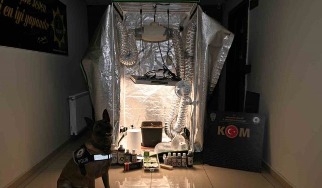 Test sonuçlarına para karşılığı müdahale: 20 gözaltı