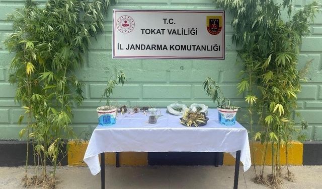 Tokat’ta jandarma ekipleri tarafından 2 ayda 56 kişi hakkında uyuşturucuya bağlı suçlarından işlem yapıldı