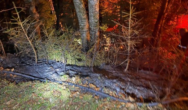 Artvin'de zirai alanda yangın kısa sürede söndürüldü