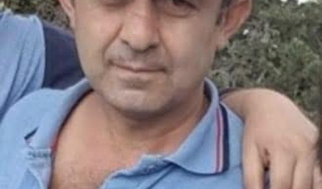 Bolu'da ağacın altında kalan vatandaş hayatını kaybetti