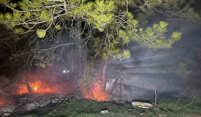 Bolu'da ormanlık alanda yangın çıktı