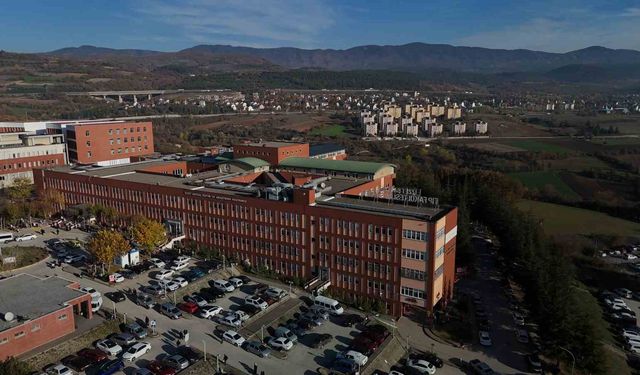 Bolu'da topladığı mantarları yiyen bir kişi zehirlendi