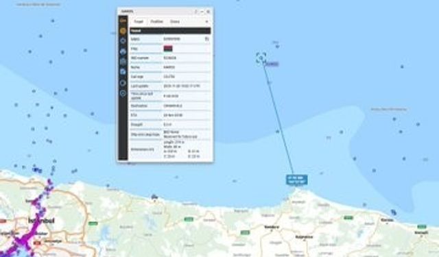 Denizcilik Genel Müdürlüğü: 'Gemideki 25 personelin durumu iyi'