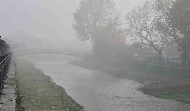 Düzce'de sis etkili oluyor