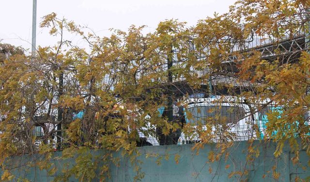 Geri dönüşüm tesisindeki koku ekipleri harekete geçirdi