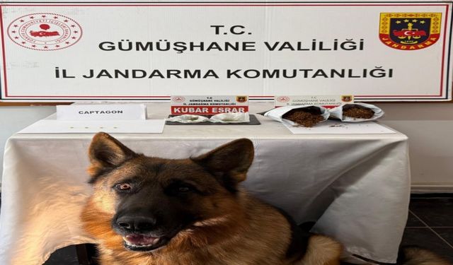 Gümüşhane’de uyuşturucu operasyonunda 4 kişi yakalandı