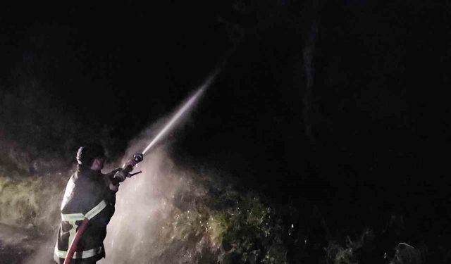 Kastamonu'da çıkan orman yangını söndürüldü