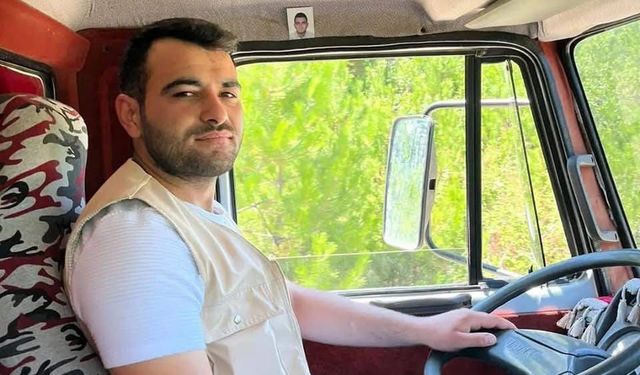 Kastamonu’da üzerine ağaç devrilen şahıs yaralandı