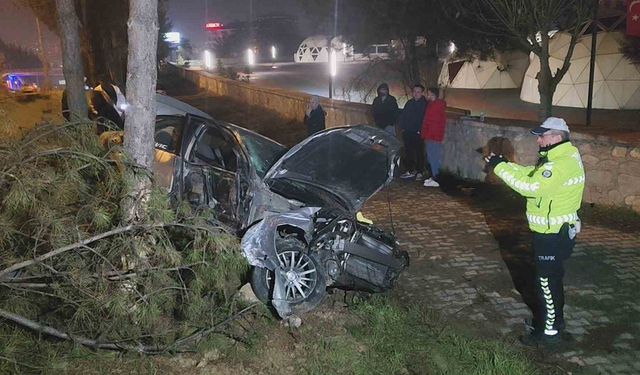 Kontrolden çıkan otomobil, direk ve ağaçlara çarptı: 1 yaralı