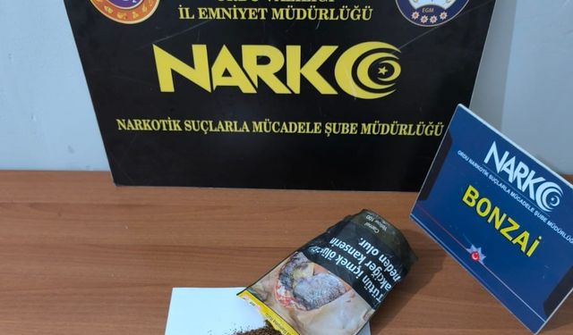 Ordu'da uyuşturucu operasyonlarında 5 tutuklama