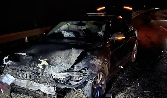 Sinop Belediye Başkanı Gürbüz'ün makam aracı domuz sürüsüne çarptı