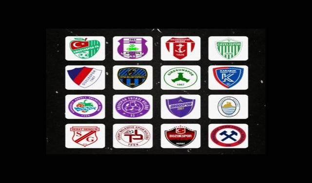 3. Lig 3. Grupta 15 Takımdan 165 Oyuncu PFDK'ya Sevk Edildi