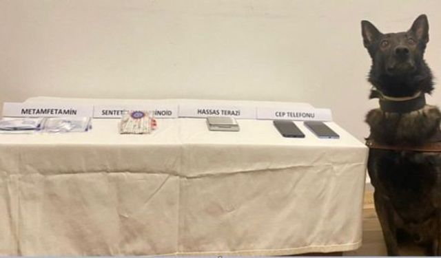 Bolu'da jandarmadan uyuşturucu operasyonu