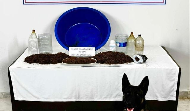 Çankırı'da uyuşturucu operasyonu: 1 gözaltı