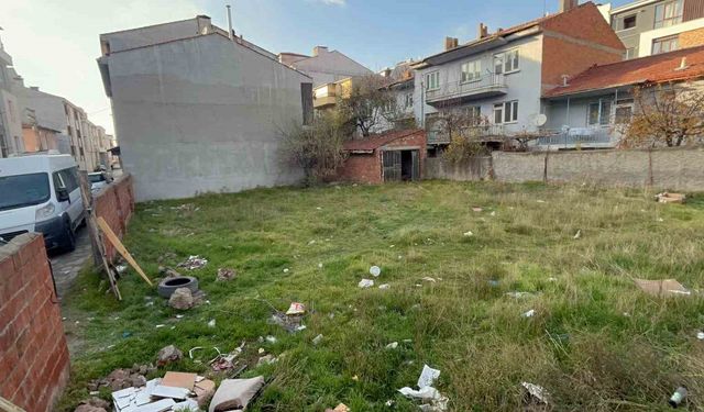 Eskişehir'de boş arsada 8 ölü kedi bulundu