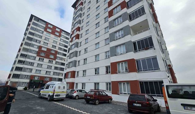 Evi taşınırken tartıştığı nakliyeciyi bıçakladı