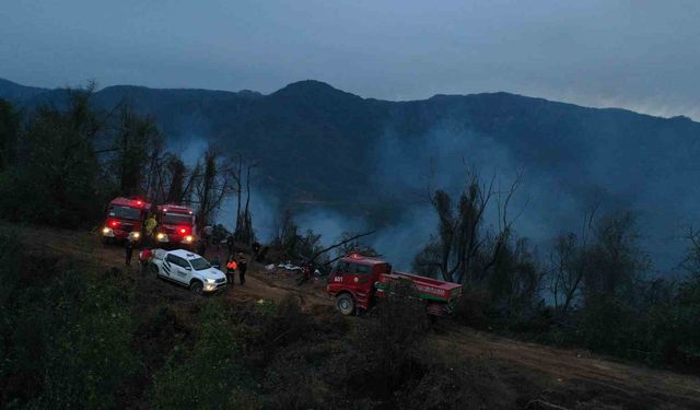 Hopa'daki orman yangını söndürüldü, soğutma çalışmaları sürüyor