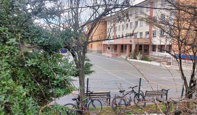 Kız öğrencilerine cinsel organının fotoğrafını gönderen tacizci öğretmen tutuklandı