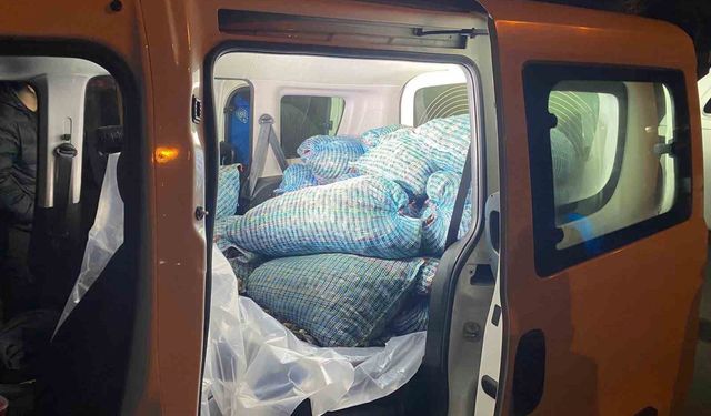 Samsun'da 300 kilo kaçak midye ele geçirildi