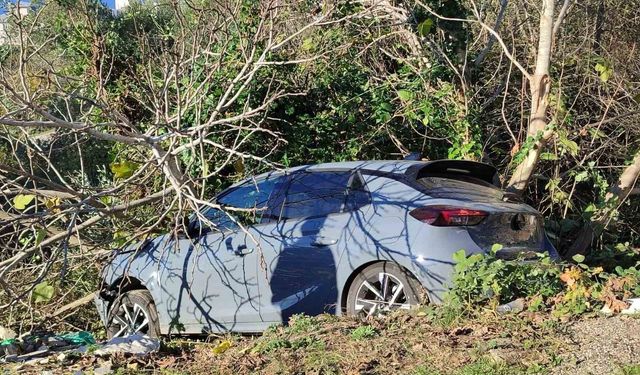 Sinop'ta kontrolden çıkan otomobil ağaçlık alana devrildi
