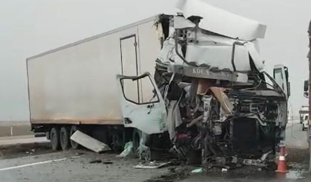 Tır yol kenarındaki tırın dorsesine çarptı: 1 yaralı