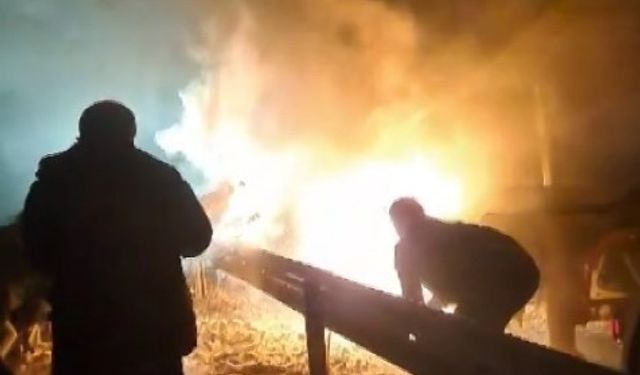 Tırda çıkan yangını söndürmek için elleriyle kar attılar