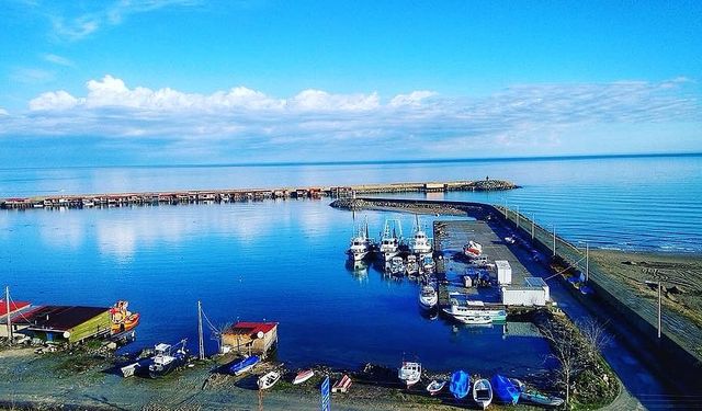 Türkeli'de ruhsatsız yapılara yasal işlem