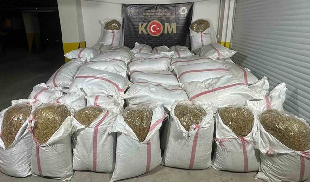Eskişehir'de 7 milyon 300 bin dal makaron, 1 ton kaçak tütün ele geçirildi