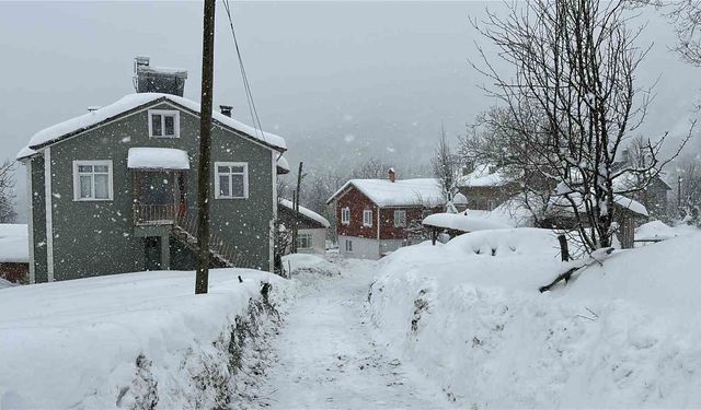 Kastamonu'da kar 167 köy yolunu ulaşıma kapattı