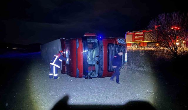 Köpeğe çarpmamak için manevra yaptı, tır şarampole devrildi: 1 yaralı