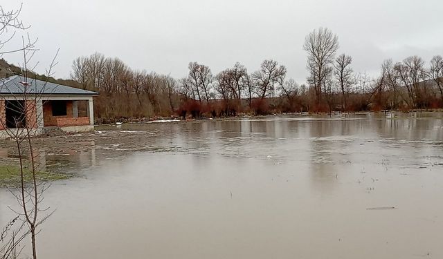 Çekerek Irmağı Taştı, Tarım Arazileri Sular Altında Kaldı