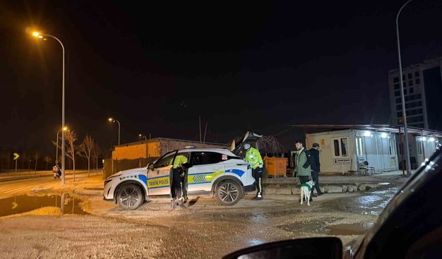 1.55 promil alkollü yakalanan ve 14 bin TL ceza kesilen sürücü, karakola köpeğiyle gitti