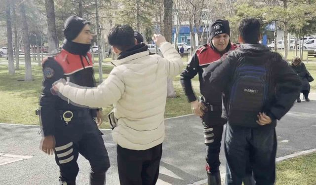 Aksaray'da park, bahçe ve okul bölgeleri denetim altında