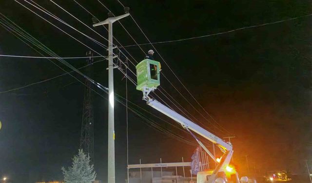 Alaca'da kamyon, elektrik ve telefon hatlarına zarar verdi