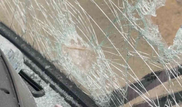 Baştan terörist benzetmesi yapmıştı, o şüpheliler yakalandı