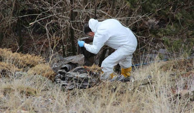 Çorum'da kan donduran cinayet: 6 gündür aranan yaşlı adamın cesedi parçalanmış halde bulundu