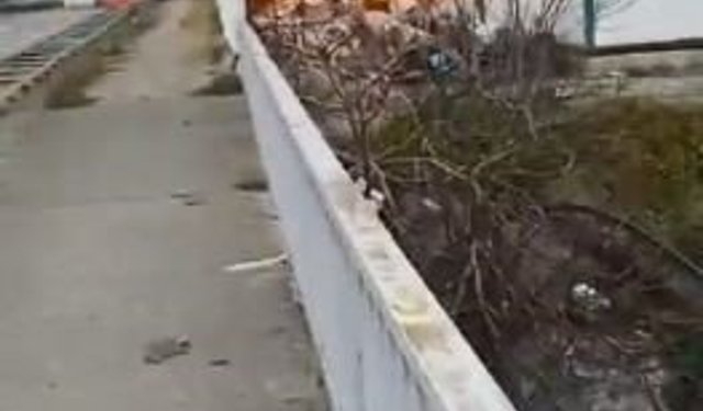 Hopa'da şantiyede çıkan yangın korkuttu