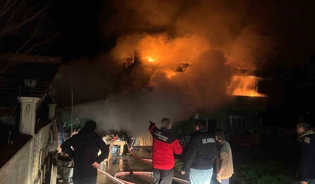 Ordu'da ambarda çıkan yangın marangoz atölyesi ve ahırı küle çevirdi