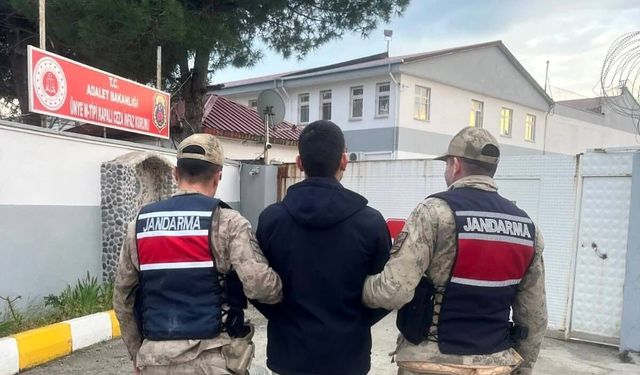 Ordu'da jandarma aranan 61 şüpheliyi yakaladı