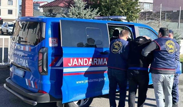 Ordu'da jandarma aranması bulunan 53 şüpheliyi yakaladı, 26'sı tutuklandı