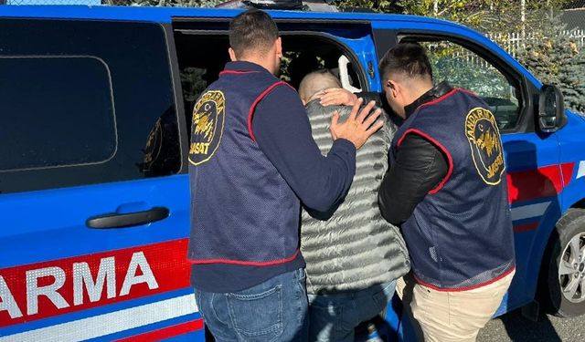 Ordu'da kesinleşmiş hapis cezası bulunan 163 zanlı, jandarma ekiplerince yakalandı
